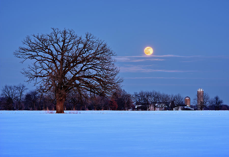 The Winter Blues - Wolf Moonrise with Lone Oak and WI Dairy Farm Photograph by Peter Herman