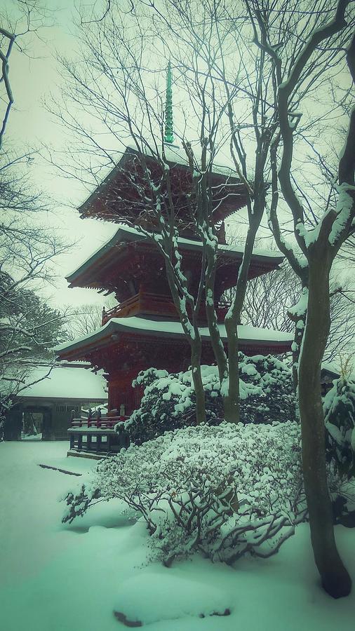 The winter Pagoda Photograph by Tim Ernst