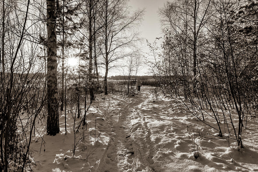 The Winter Path To Riverside Jurmala  Photograph by Aleksandrs Drozdovs