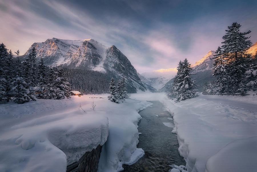 The Winter Wonderland at Lake Louise Photograph by Celia Zhen