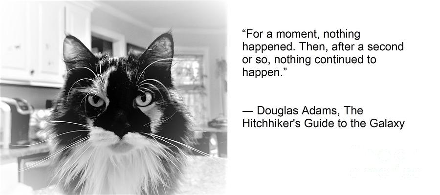 Douglas Adams Painting - The Wisdom of Cats - For a Moment, Nothing Happened by Rose Elaine
