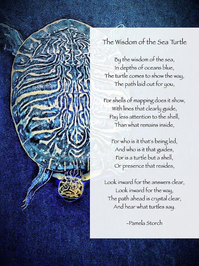 Turtle Digital Art - The Wisdom of the Sea Turtle Poem by Pamela Storch