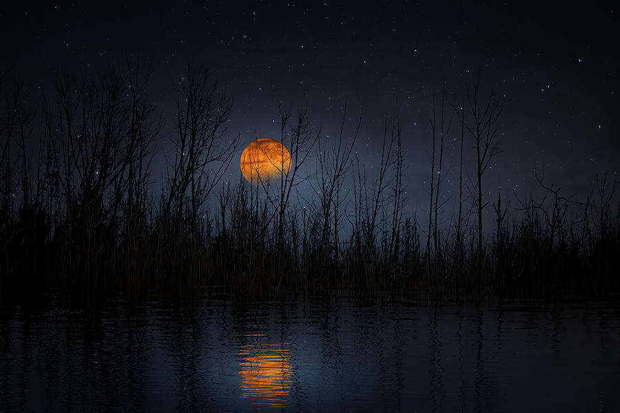 The Witching Moon Photograph by Mark Andrew Thomas