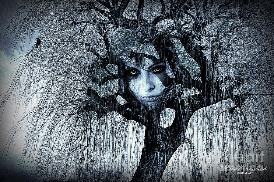 The witching Tree Photograph by Kira Bodensted