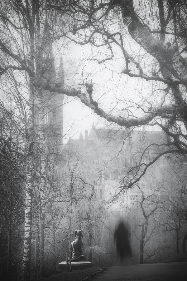 The Woman in Black Glasgow Scotland Black and White  Photograph by Carol Japp