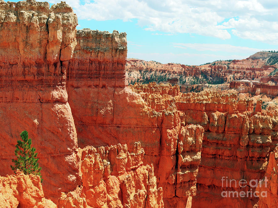 The Wonder of Bryce Canyon Photograph by Rick Locke - Out of the Corner of My Eye