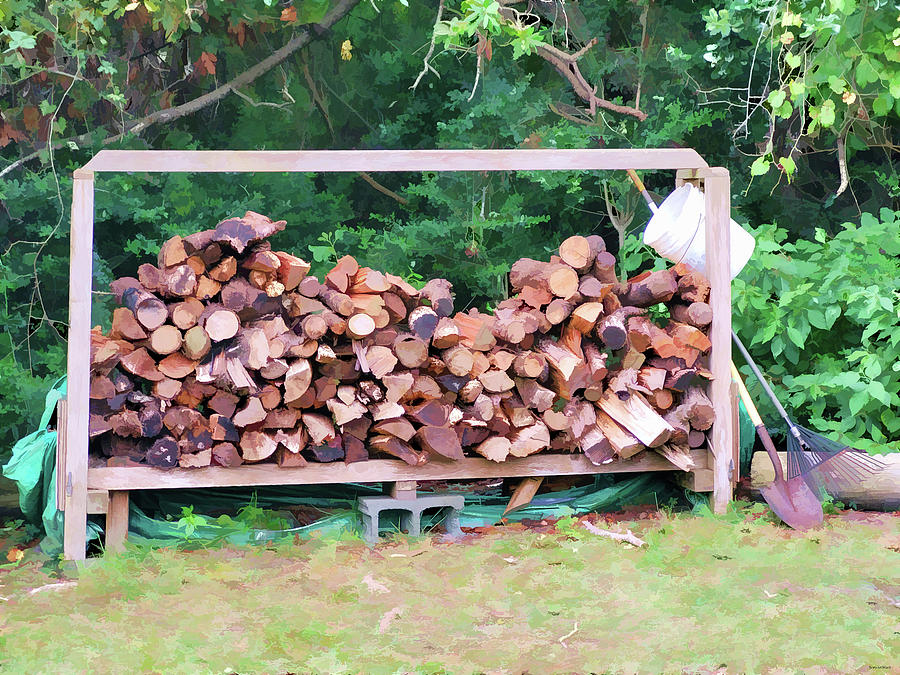 The Wood Pile Photograph by Roberta Byram