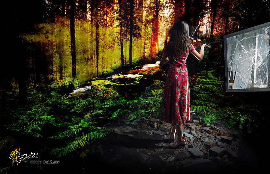 The Woods Digital Art by Doug Schramm