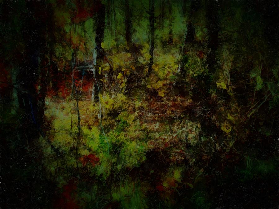 The Woods in October Mixed Media by Christopher Reed