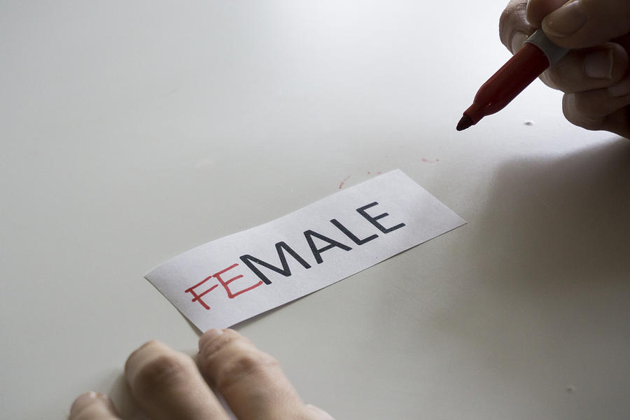 The word MALE, with the letters FE added to spell FEMALE Photograph by Melinda Podor