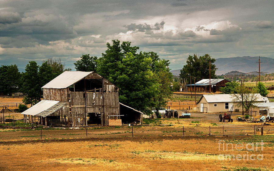 The Working West Coast American Barn Photograph by Mary Jane Armstrong