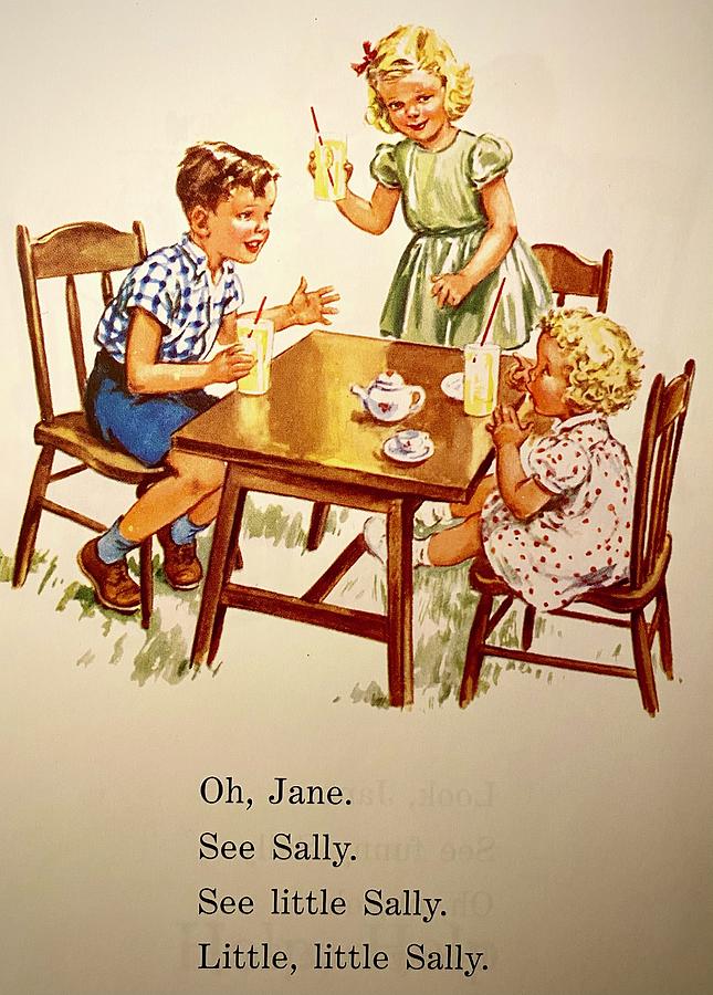 The World of Dick and Jane Photograph by Andrea Callaway