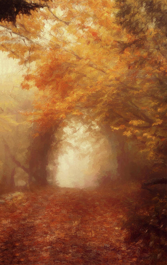 The World of October Painterly Version Photograph by Carrie Ann Grippo-Pike