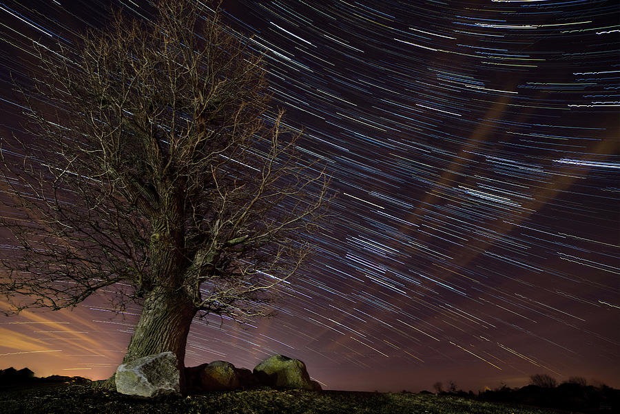 The World Spins Madly On - star trails behind the Stoughton tornado tree Photograph by Peter Herman