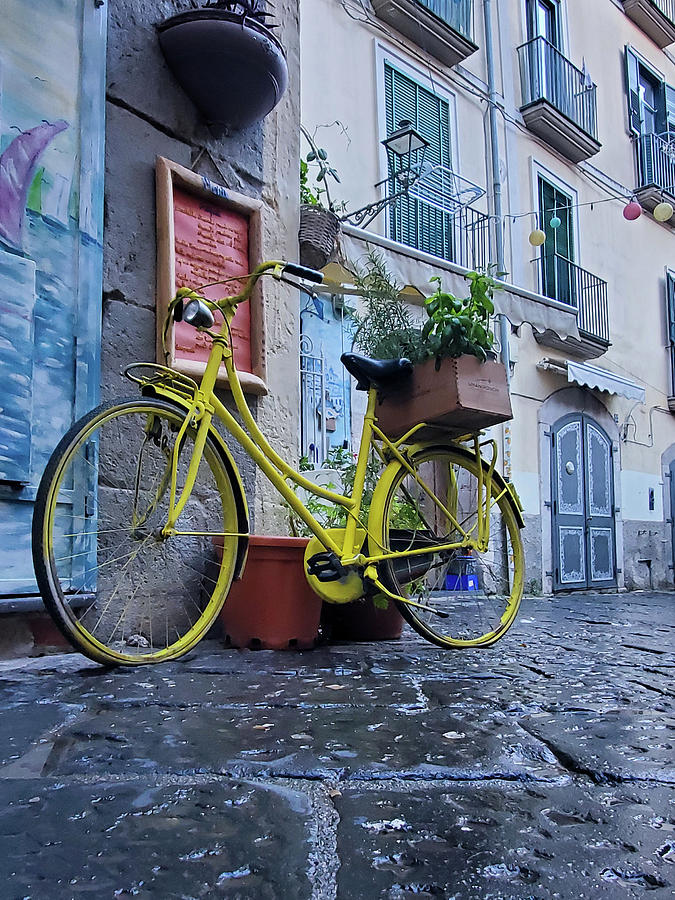 The Yellow Bike Photograph by Andrea Whitaker