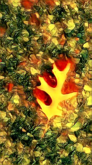The yellow leaf Digital Art by Steven Wills