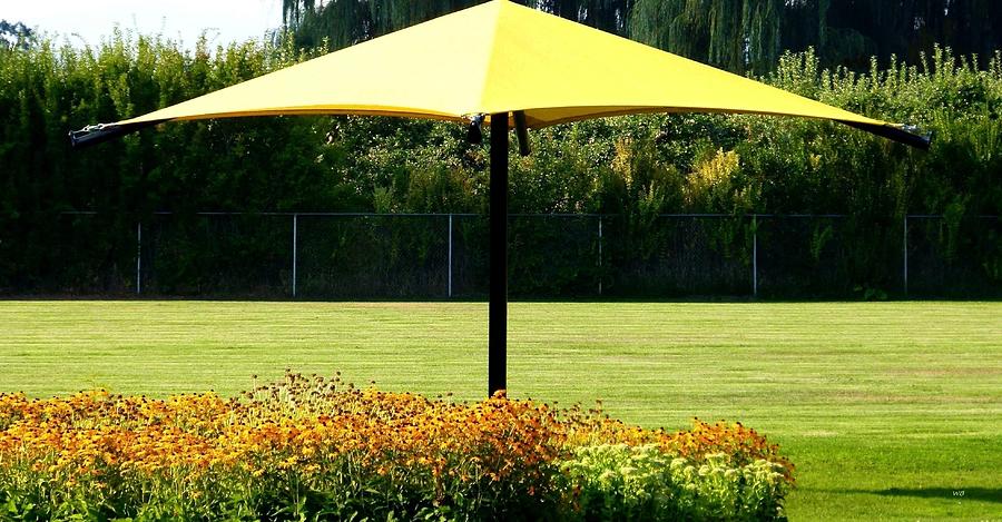 The Yellow Umbrella Photograph