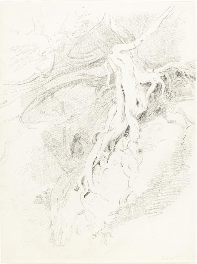 Skyscraper Drawing - The Yew at Clifton art by Thales Fielding English