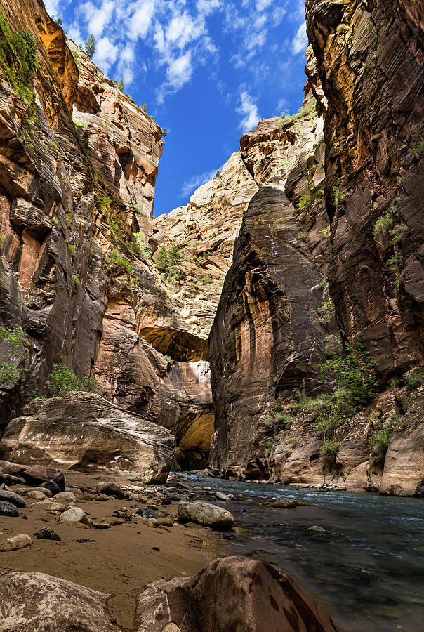 The Zion Narrows Photograph by Andrew Pacheco