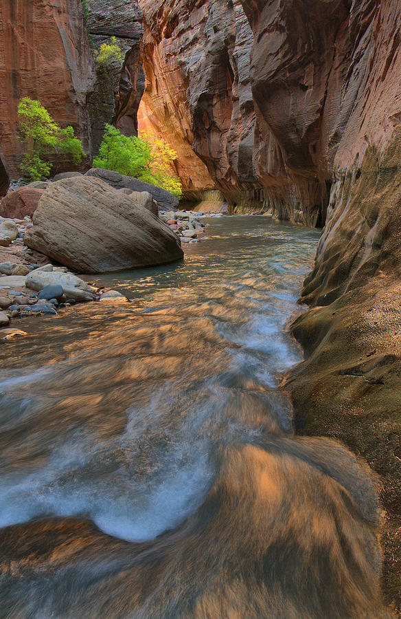 The Zion Narrows Photograph by Stephen Vecchiotti