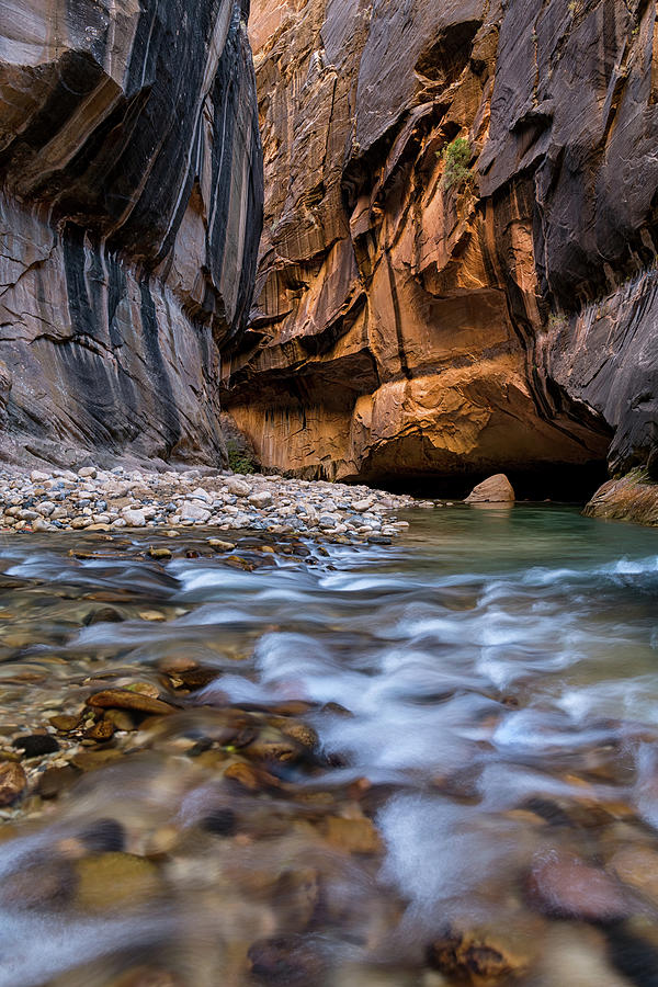 The Zion Narrows Utah Photograph by Tibor Vari