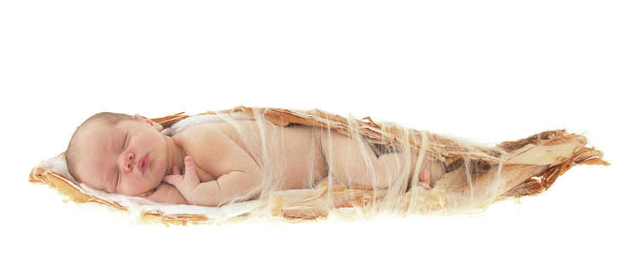 Theodore as a Cocoon Photograph by Anne Geddes