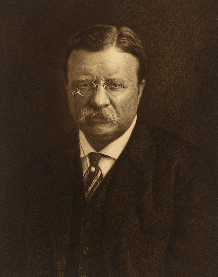 Theodore Roosevelt Drawing by Jacques Reich - Pixels