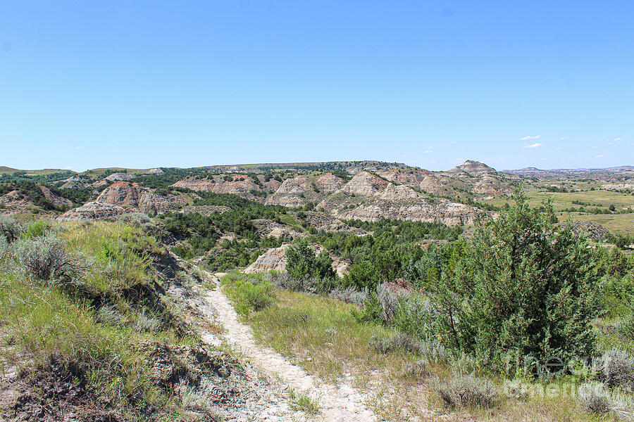 Theodore Roosevelt National Park Hiking Trail Photograph by Curtis ...