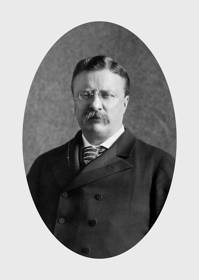 Theodore Roosevelt Portrait - 1904 Photograph by War Is Hell Store