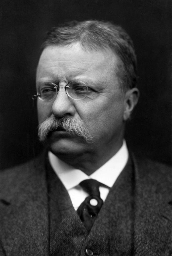 Theodore Roosevelt Portrait - 1915 Photograph by War Is Hell Store