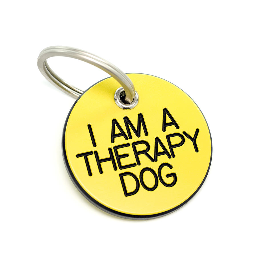 Therapy dog tag Photograph by Youngvet