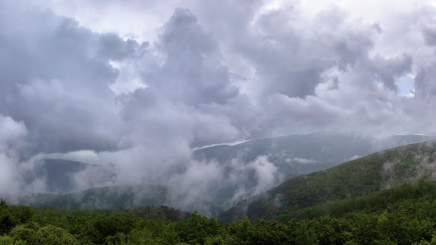 There Goes the Rain Again - Shenandoah National Park Photograph by Susan Rissi Tregoning