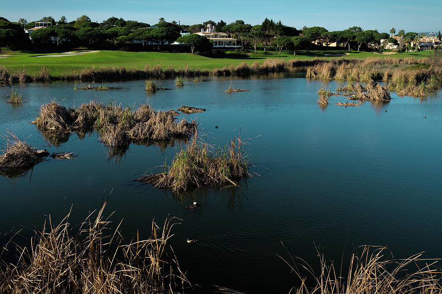 There is a Lake in Quinta do Lago Photograph by Angelo DeVal