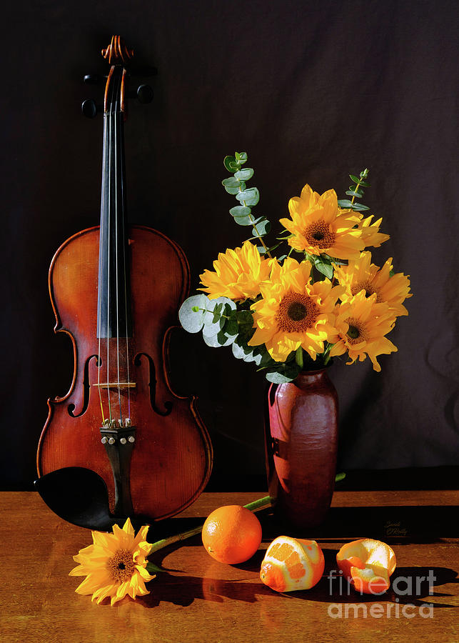 There Is A Violin Song Blooming Photograph by Sandi OReilly