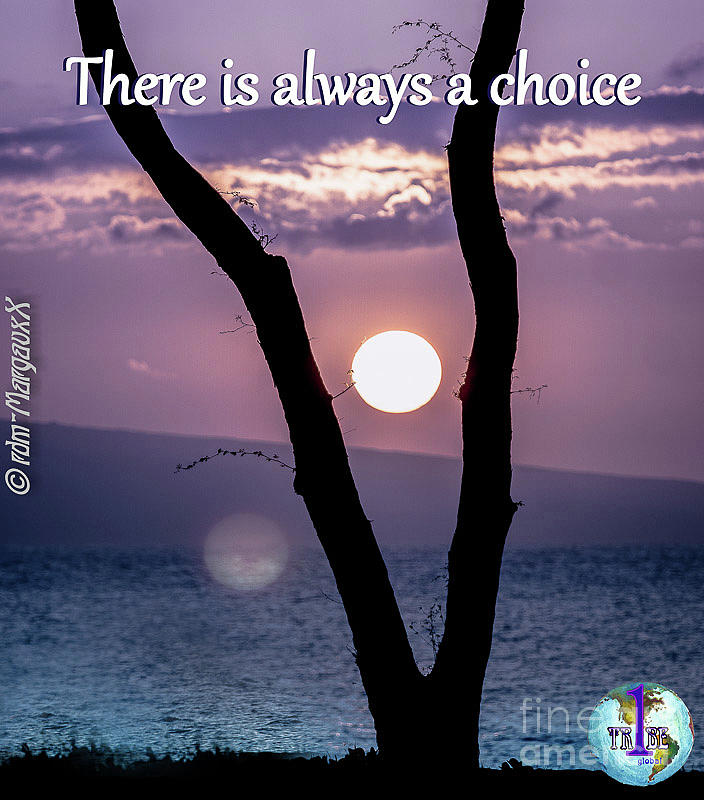 There Is Always A Choice Photograph by Margaux Dreamaginations
