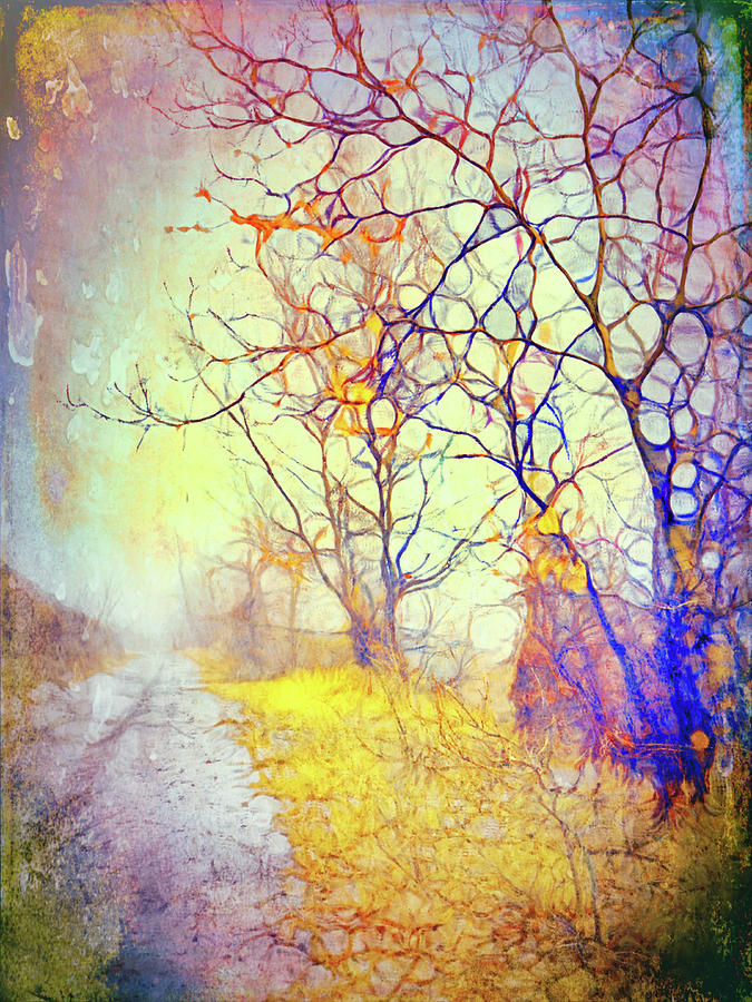 There is Gold Beneath the Fog Digital Art by Tara Turner