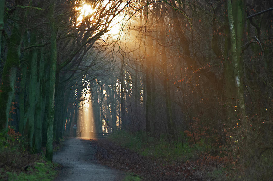 There is light even on dark days Photograph by Juergen Hess - Fine Art ...