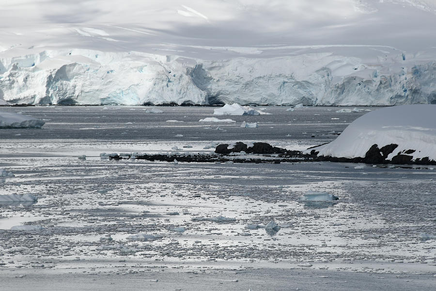 There's a Lot of Ice About Photograph by Clifford Burgess - Fine Art ...