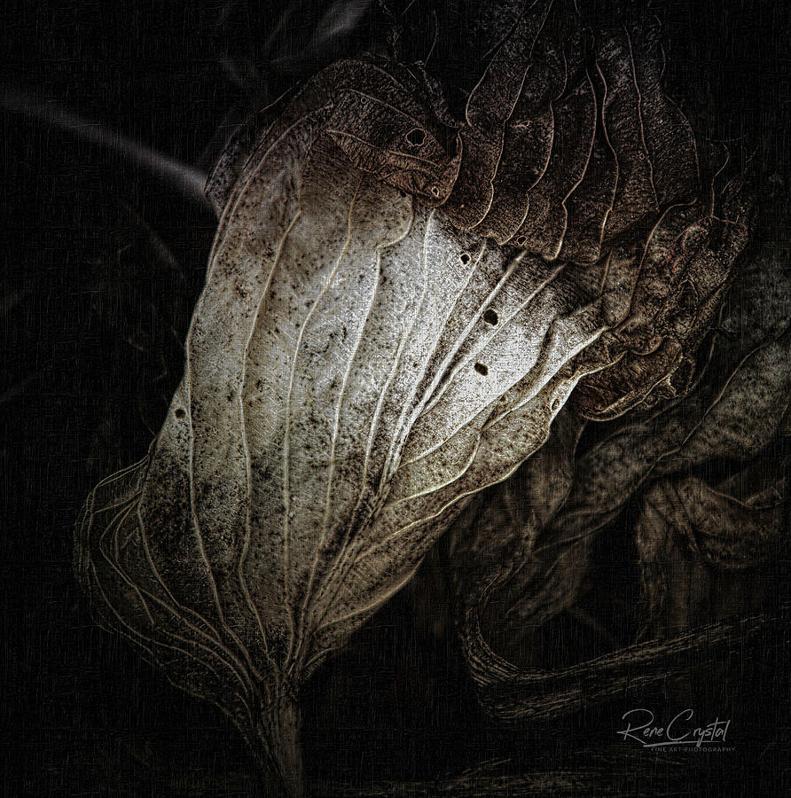 There's Beauty In the Ending, Too by Rene Crystal There's Beauty In the Ending, Too by Rene Crystal