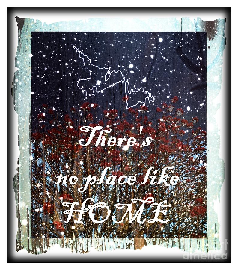 Theres no place like home - NL map Photograph by Barbara A Griffin
