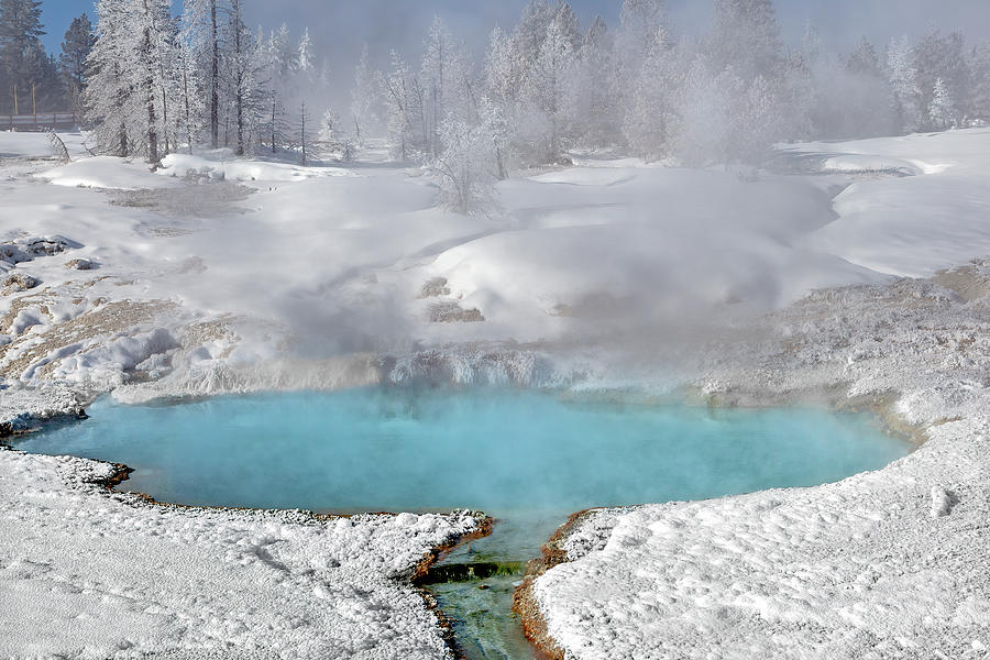 Thermal Pool at West Thumb Geyser Basin Photograph by Jack Bell
