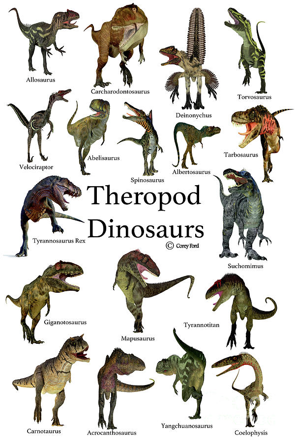 Theropod Dinosaurs Digital Art by Corey Ford