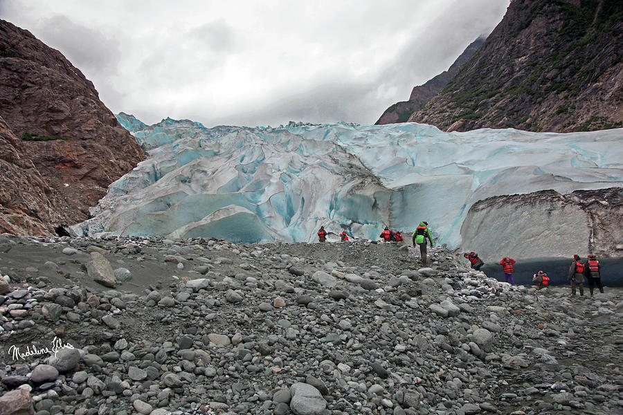 They come to see the glaciers, Alaska Photograph by Madeline Ellis