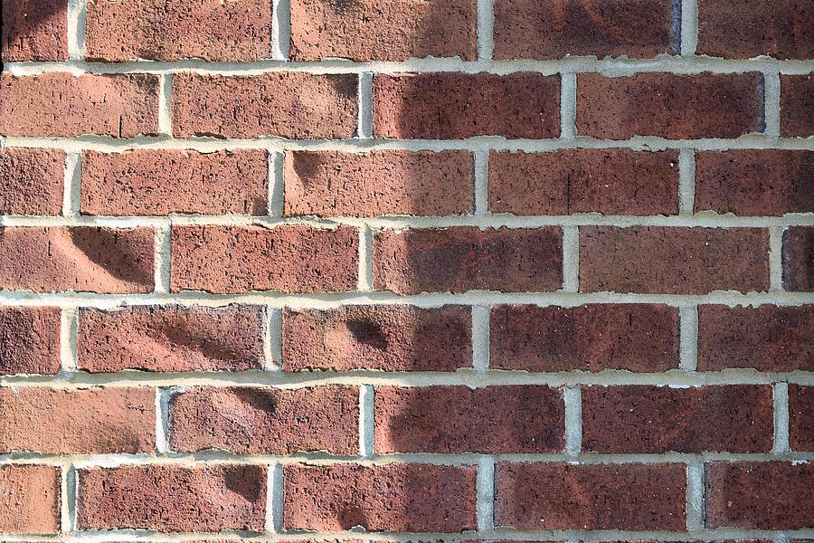 Thick As A Brick Photograph by Kathy K McClellan