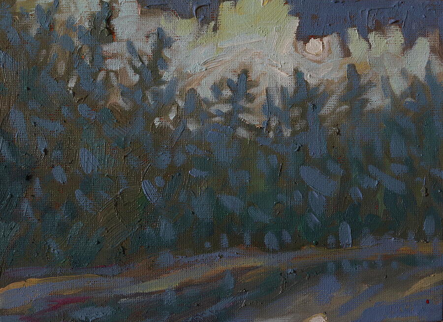 Thick Fog in the Sunrise Dumoine Forest Painting by Phil Chadwick Thick Fog in the Sunrise Dumoine Forest Painting by Phil Chadwick