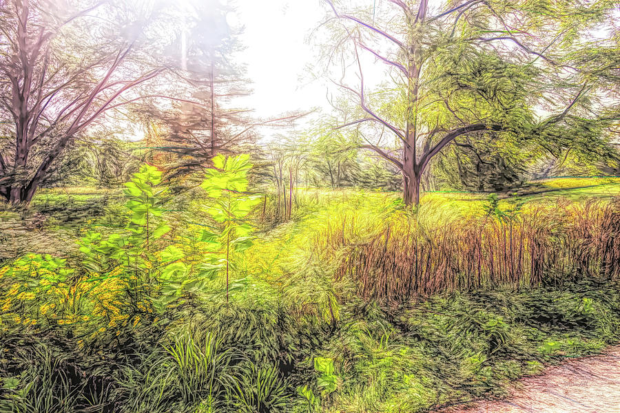 Thick Growth Along the Hiking Trail Digital Art by Dennis Lundell