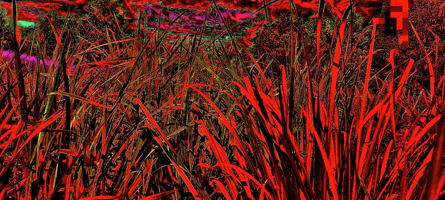 Thickets. Red Grass. Digital Art