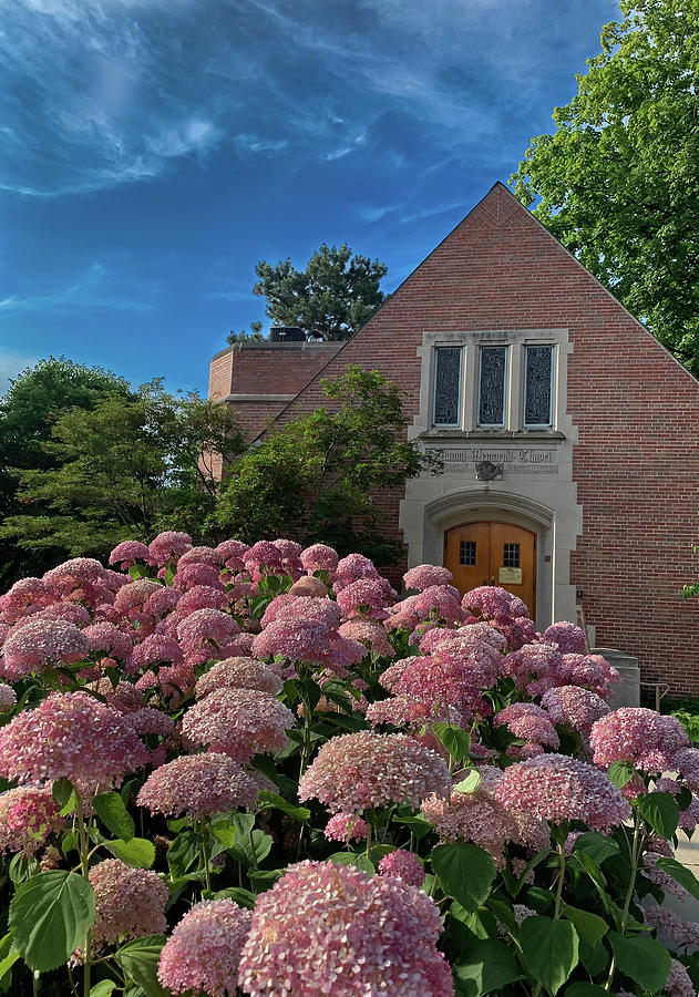 Msu Photograph - Think Summer by Joseph Yarbrough Msu Photograph - Think Summer by Joseph Yarbrough