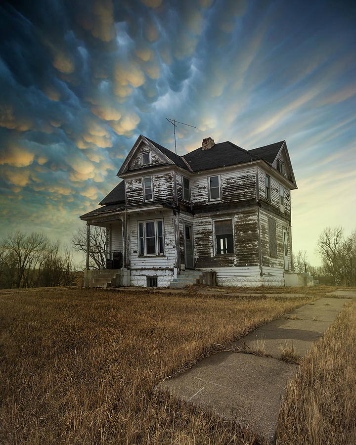 Thinking of You Photograph by Aaron J Groen