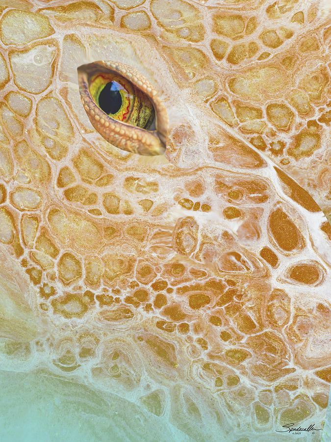 Third Lizard Eye Digital Art by M Spadecaller